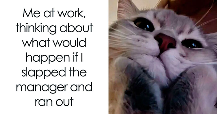34 Work Memes That Nail That ‘Why Am I Here?’ Feeling Perfectly