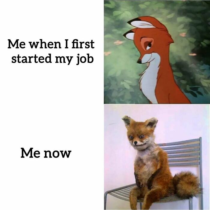 34 Work Memes That Nail That 'Why Am I Here?' Feeling Perfectly