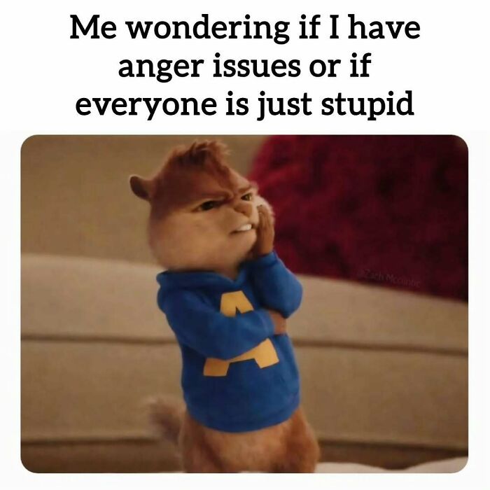 34 Work Memes That Nail That 'Why Am I Here?' Feeling Perfectly
