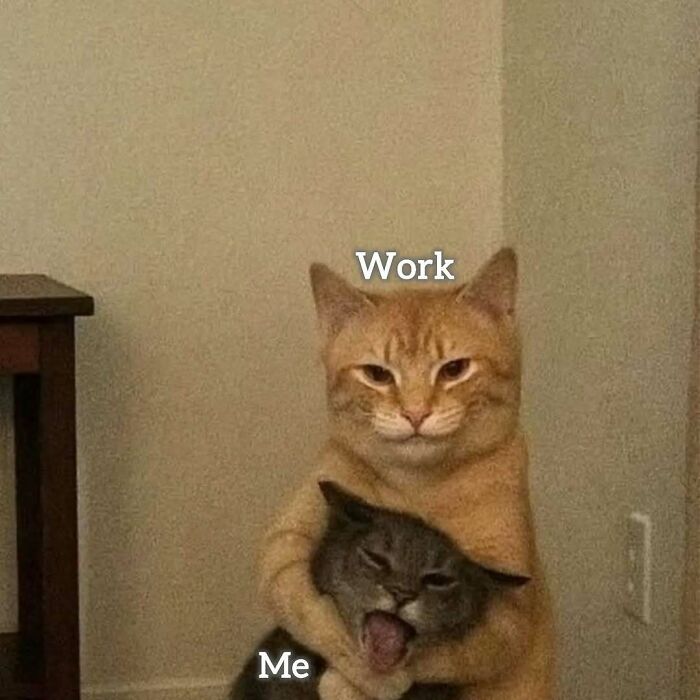 34 Work Memes That Nail That 'Why Am I Here?' Feeling Perfectly