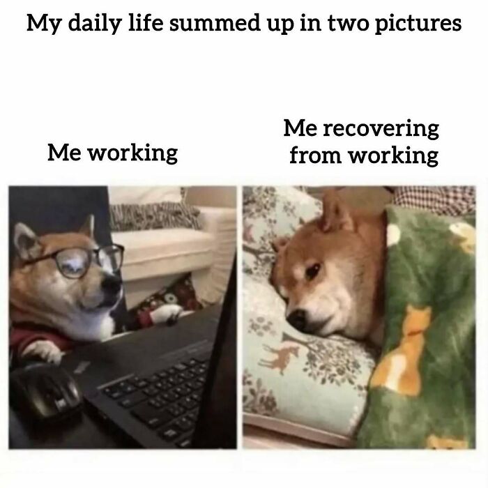 34 Work Memes That Nail That 'Why Am I Here?' Feeling Perfectly