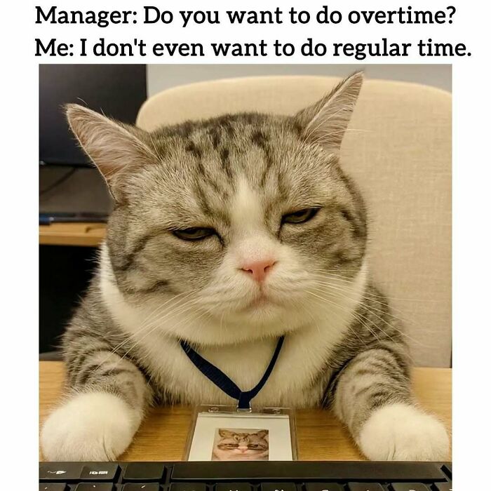 34 Work Memes That Nail That 'Why Am I Here?' Feeling Perfectly