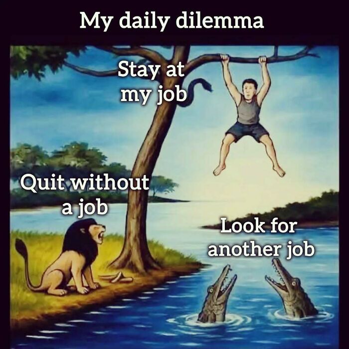 34 Work Memes That Nail That 'Why Am I Here?' Feeling Perfectly