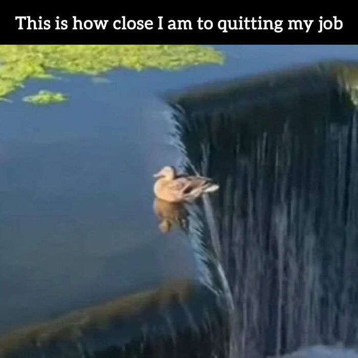 34 Work Memes That Nail That 'Why Am I Here?' Feeling Perfectly