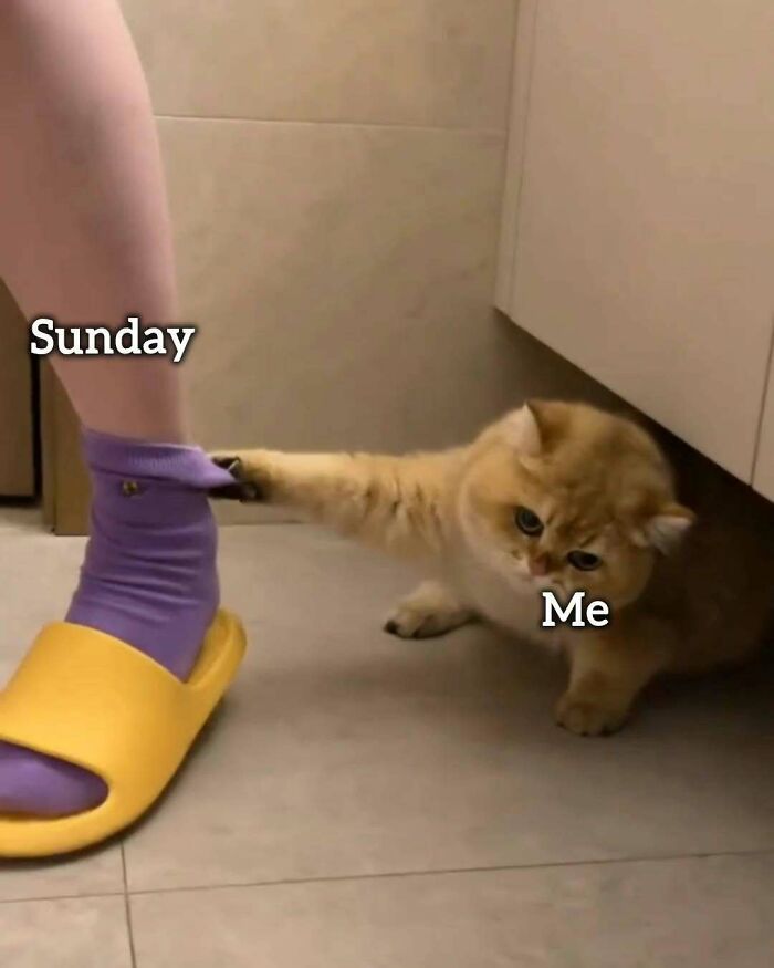 34 Work Memes That Nail That 'Why Am I Here?' Feeling Perfectly