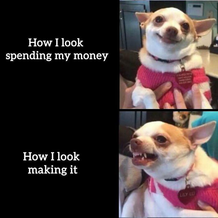 34 Work Memes That Nail That 'Why Am I Here?' Feeling Perfectly