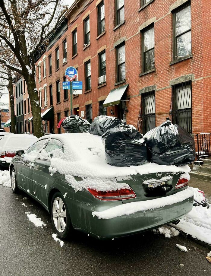 Parking At A Bus Stop On Trash Day? Bold Move.