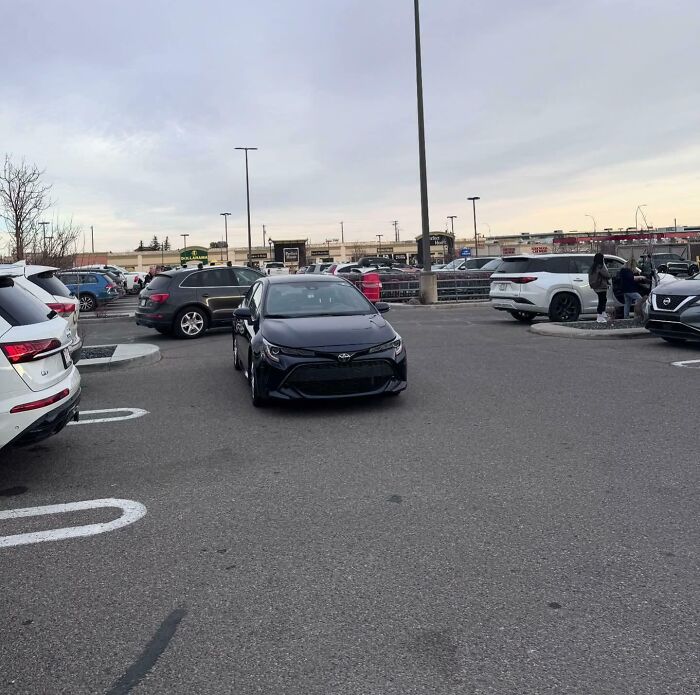 Costco Parking Lot: The Place Where Everyone Forgets The Rules