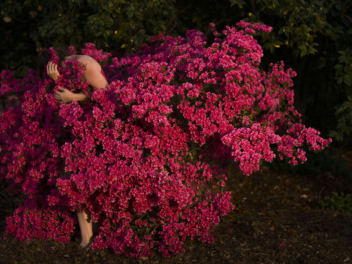 "I Wrap My Face In Her Cloak Of Petals And Breathe Deeply (No Big Deal)"