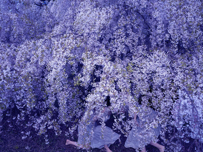 "Fleeting: Caught In a Moment (But Make It Art)"