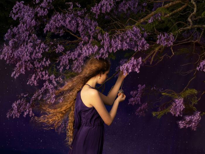 "Jacaranda: Purple Power"