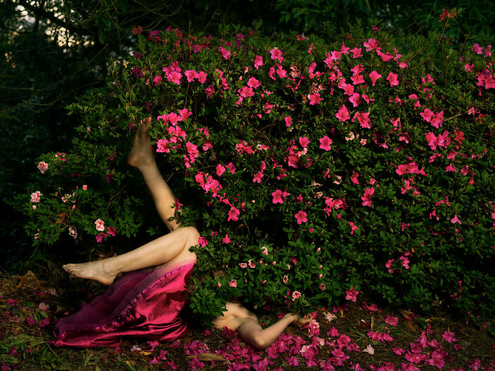 "Hot Pink: Not Your Average Flower"