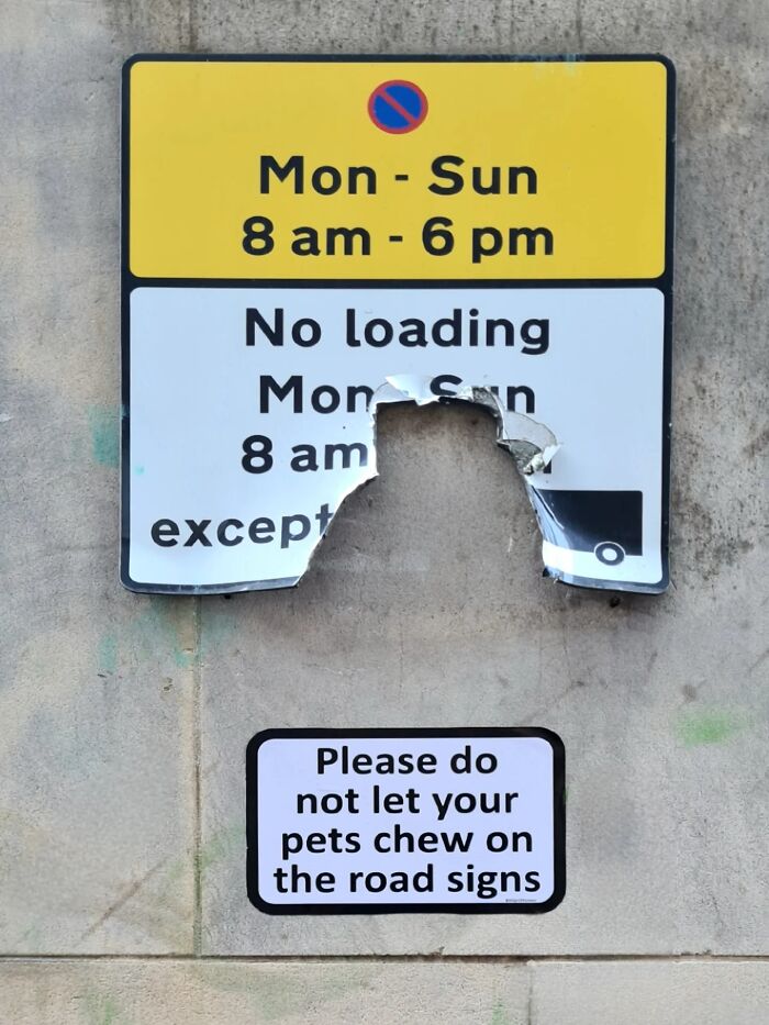Wait, They Actually Put These Hilarious Fake Signs Around Glasgow? (38 Pics)