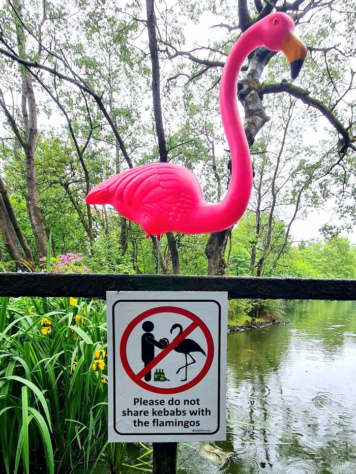 Wait, They Actually Put These Hilarious Fake Signs Around Glasgow? (38 Pics)