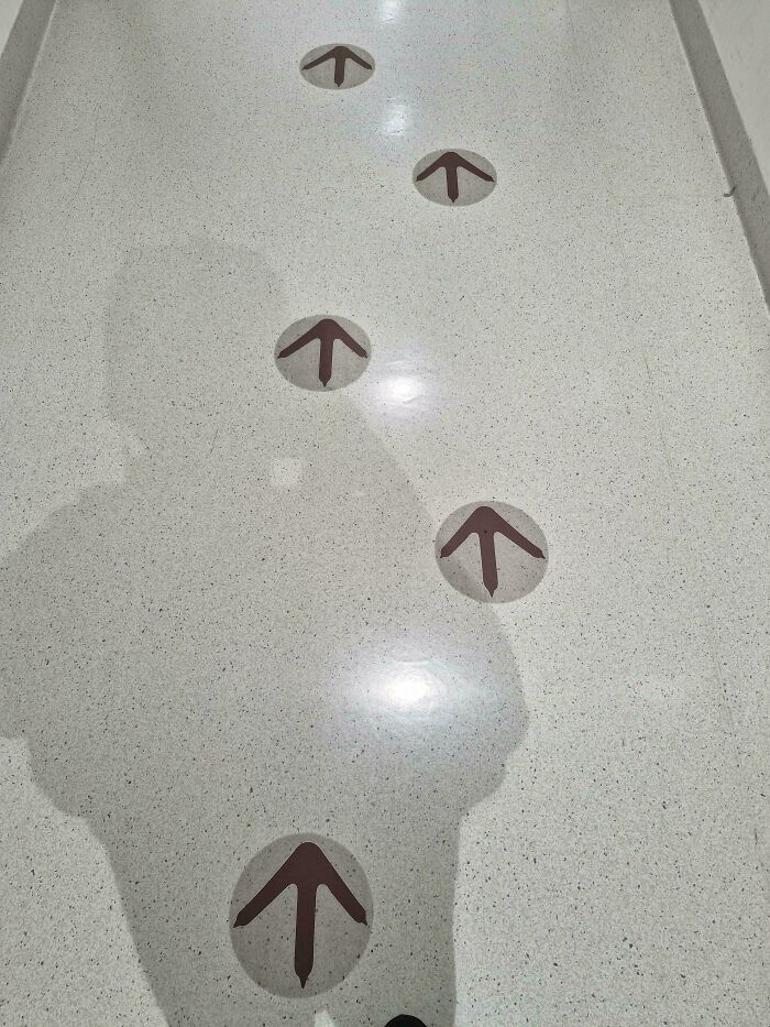These Kiwi Footprints At My Local Hospital Are Supposed To Guide, But They Look Like They’re Leading You Astray