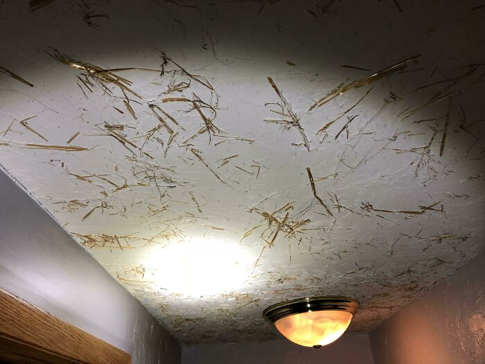 Wait, Who Approved These Home Design Disasters?!