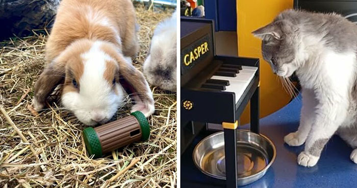 Check Out These 73 Mind-Blowing DIY 3D Prints That Are Way Cooler Than Your Average Stuff