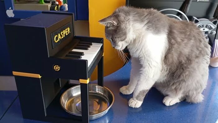 This Piano-Shaped Treat Dispenser Turns Snack Time Into A Fun Brain Puzzle For Cats And Small Pets
