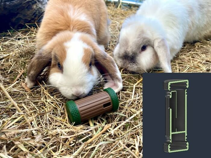 Rabbit Entertainment Upgrade: A Slow Feeder That Doubles As A Rattle Toy