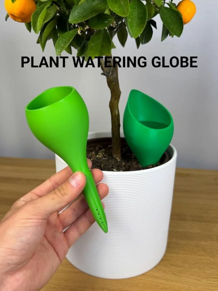 A Self-Watering Globe That Quietly Feeds Your Plants So You Don't Have To Stress