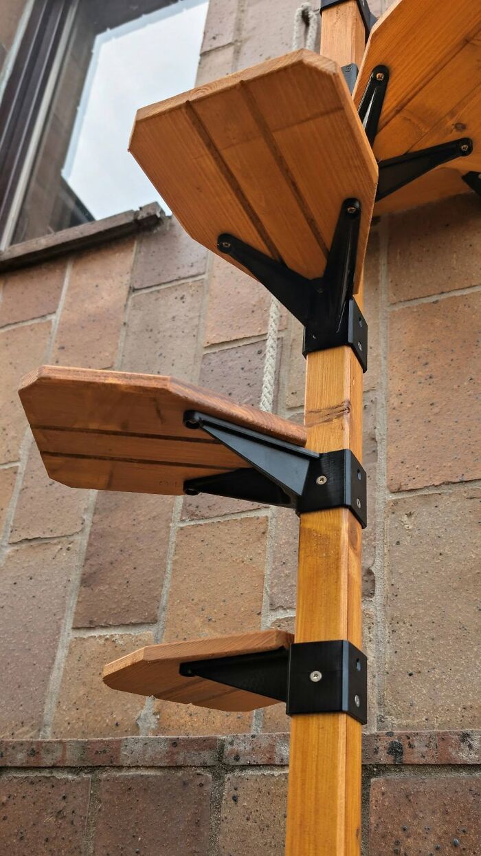 A Cat Ladder That Keeps The Landlord (And Your Cat) Super Happy