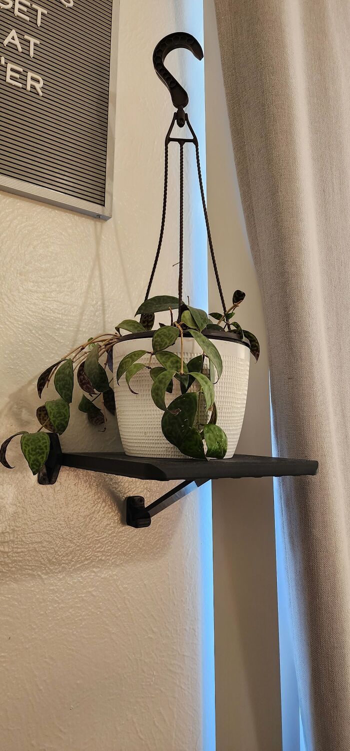 Ta-da! A Fold-Up Wall Shelf That Shrinks Away When Not Needed