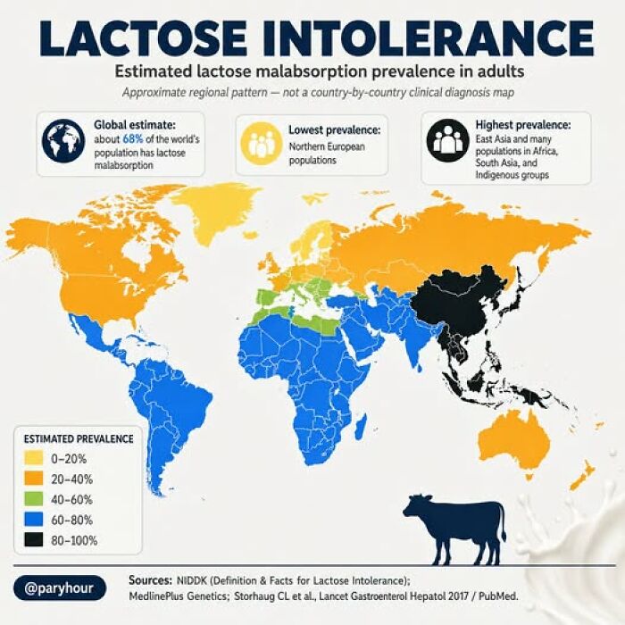 Feeling 'Whey' Too Much Dairy? You’re Probably Not Alone, Depending On Where Your Family’s From