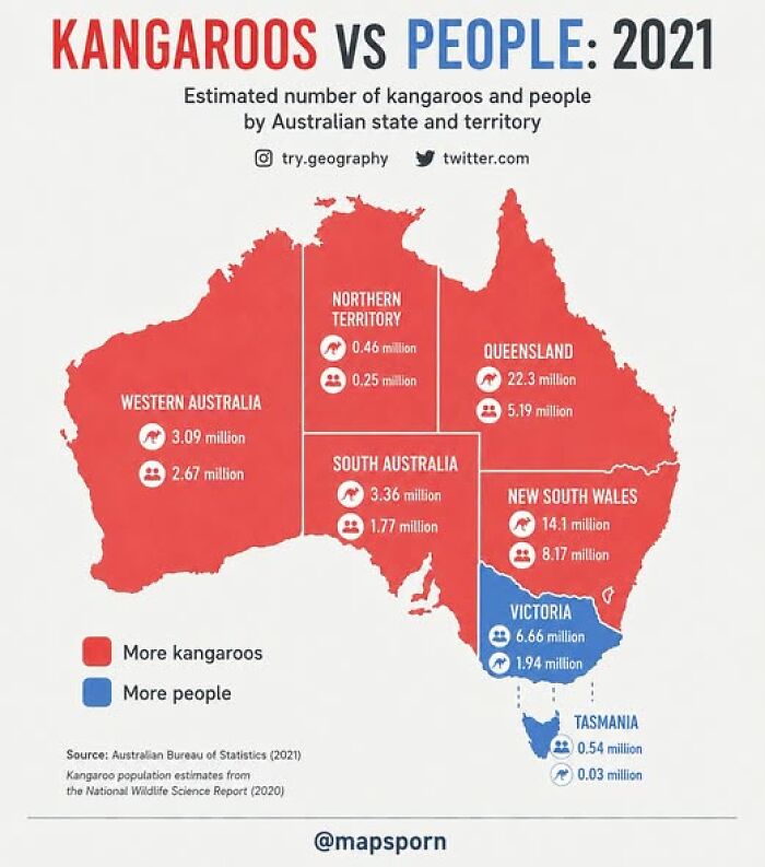 Think Australia’s Safe? The Kangaroos Might Just Be Running The Show!