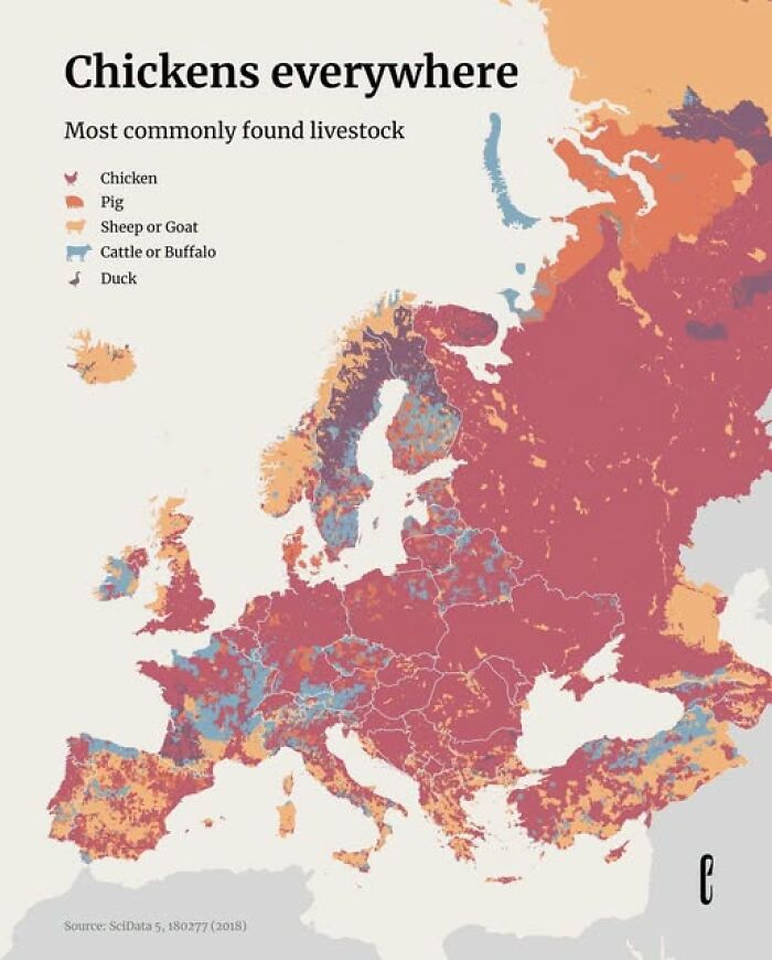 What’s The Most Popular Animal Neighbor In Europe? It’s Not The One You Expected!