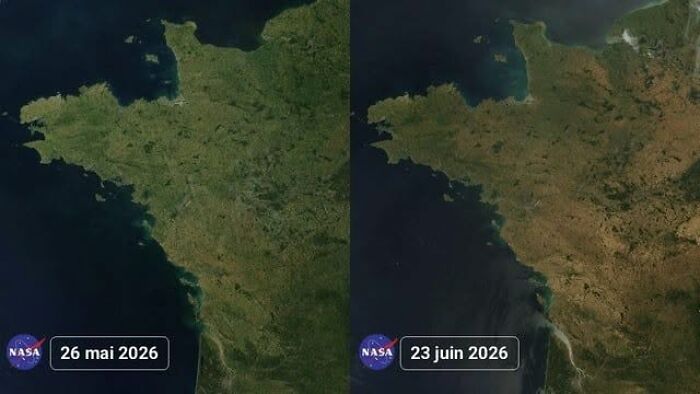 2026 Heatwave Hits Western France: See How Nature Took The Heat