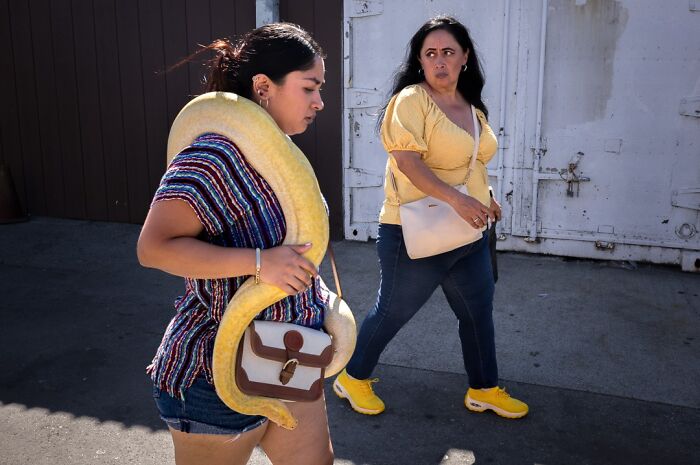 Wait, They Actually Snapped That?! 42 Street Pics That Are Too Weird To Believe