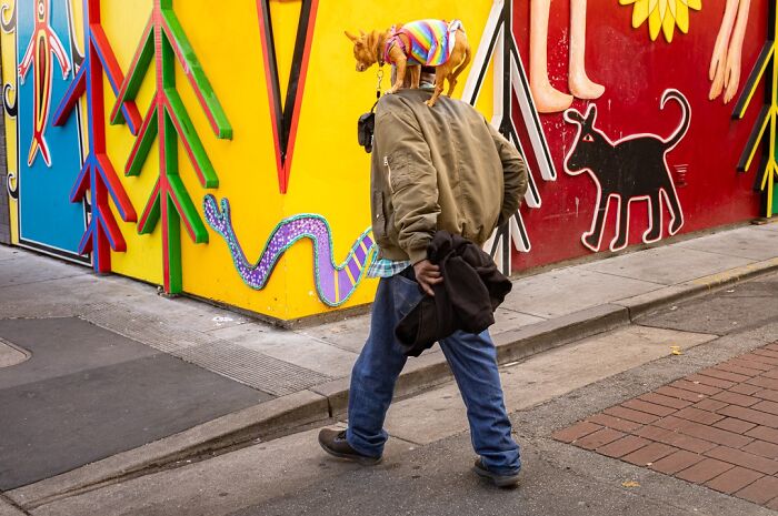 Wait, They Actually Snapped That?! 42 Street Pics That Are Too Weird To Believe