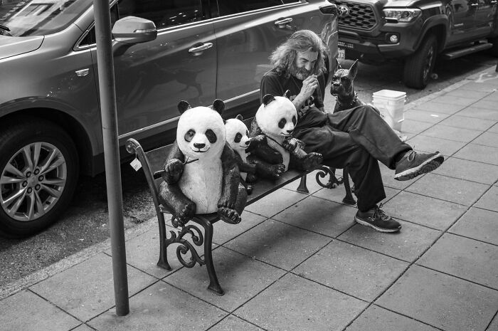 Wait, They Actually Snapped That?! 42 Street Pics That Are Too Weird To Believe