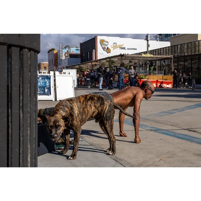 Wait, They Actually Snapped That?! 42 Street Pics That Are Too Weird To Believe