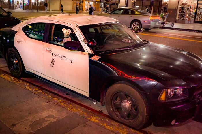 Wait, They Actually Snapped That?! 42 Street Pics That Are Too Weird To Believe