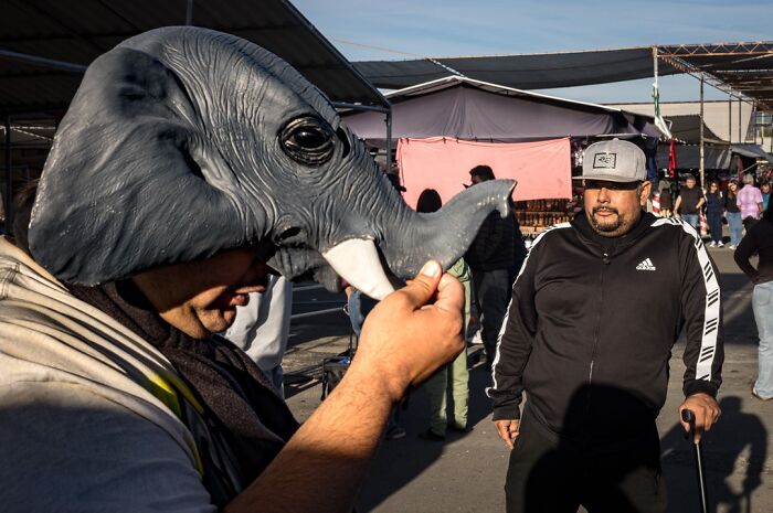 Wait, They Actually Snapped That?! 42 Street Pics That Are Too Weird To Believe