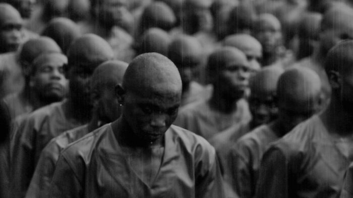 Freedom in Focus: 'Libertad' by Antonio Denti