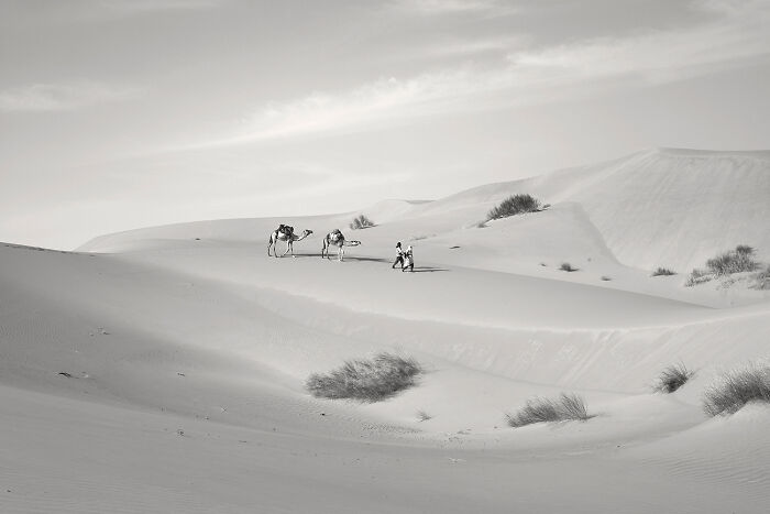 Desert Days: 'Day 23' by Isabelle Kettner