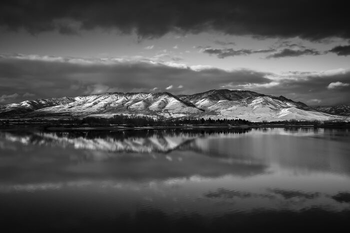 Nature’s Lines: 'Views Along Pineview' by Kelly O'leary