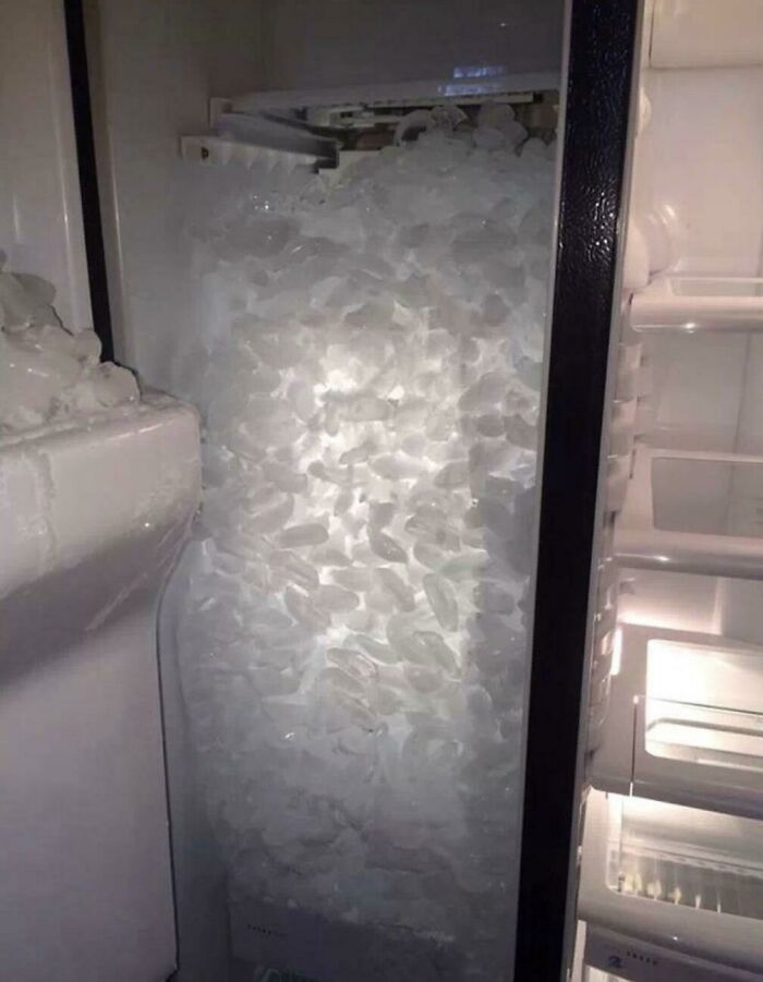 The Ice Tray That Fought Back
