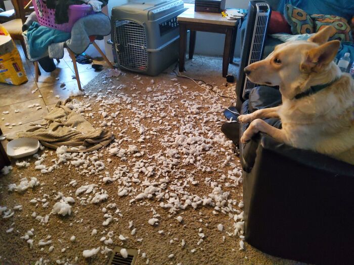 Woke Up To This Madness