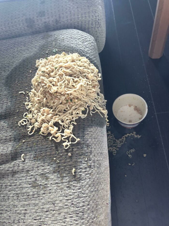 Ramen Noodles Meet Couch Disaster