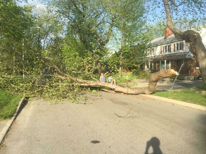 Driveway Parking? Nope!