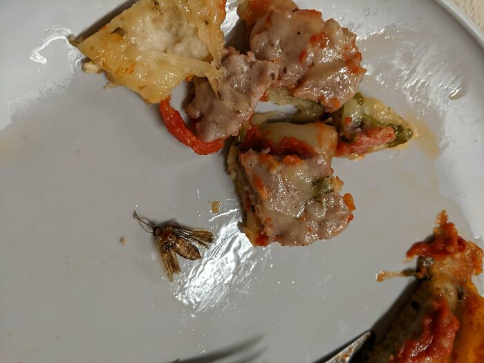 Preggo Wife’s Pizza Surprise