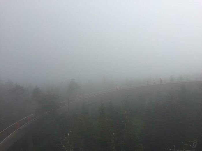 Hiking View... or Not