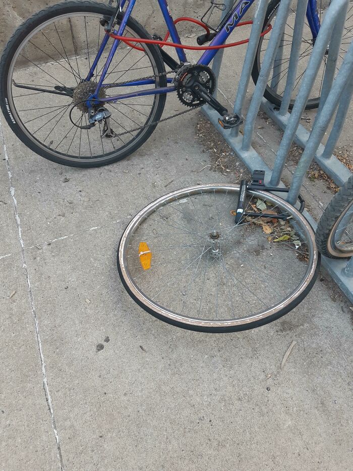 Bike Frame Kidnapped