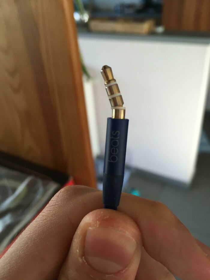 Beats Headphones vs Cat: Cat Wins