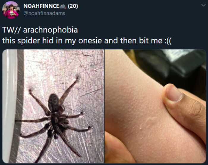 This Poor Soul’s Day