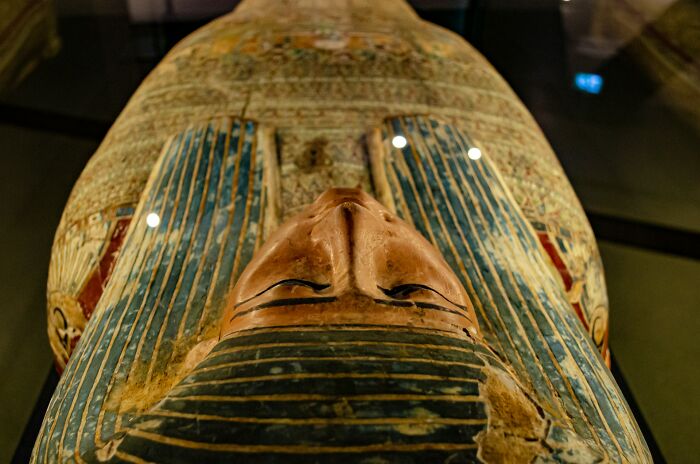 Brace Yourself: 50 WTF Facts That Are Actually True