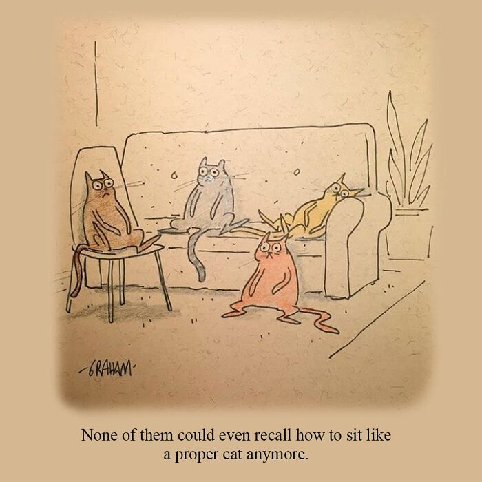Wait, They Actually Ranked That?! 43 Cat Comics That Are So Weird, They're Hilarious